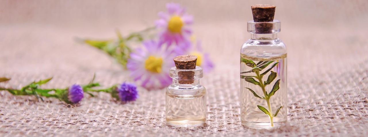 Cajeput vs Niaouli: Two Paperbark Oils Compared